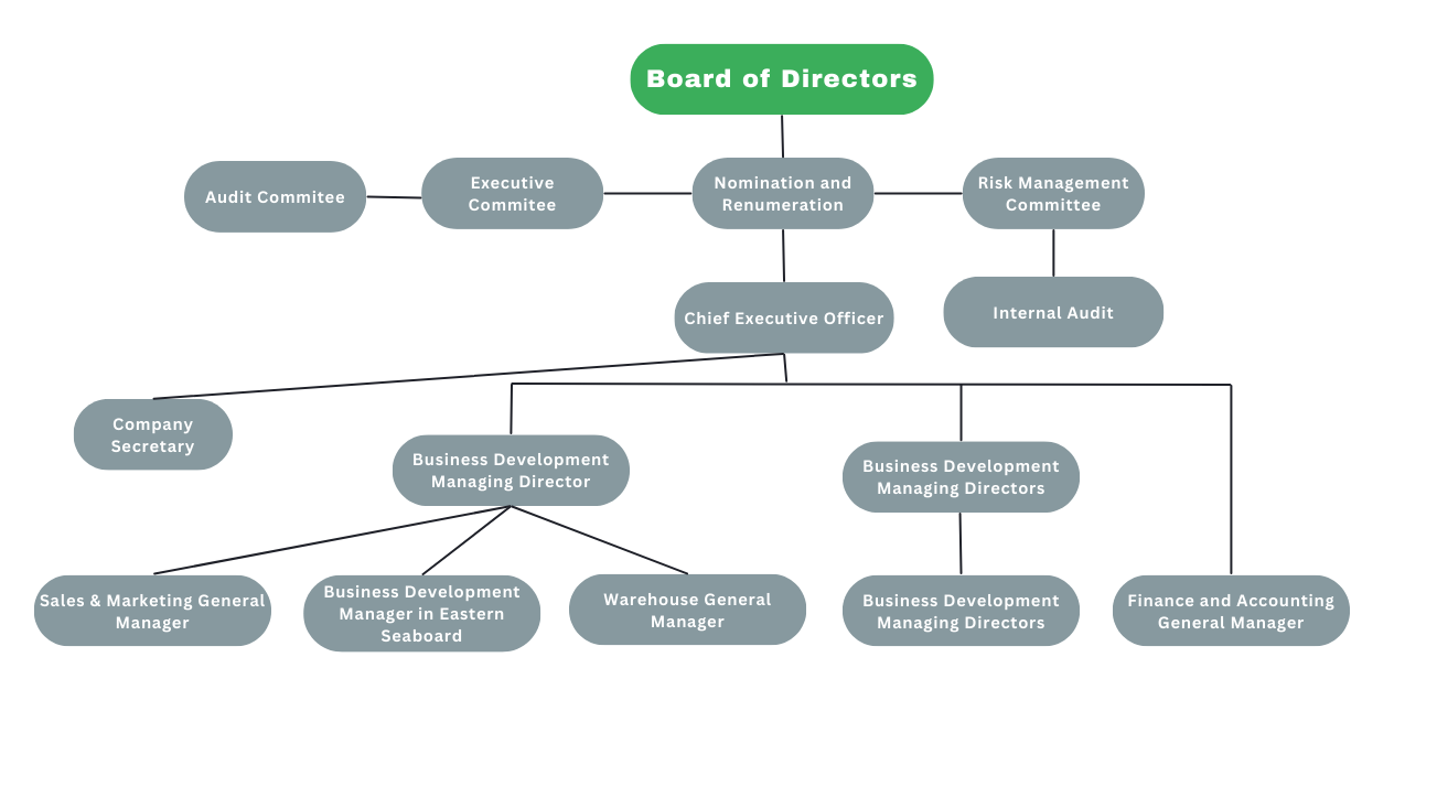 board of directors structure